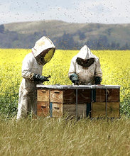 Load image into Gallery viewer, 7026486